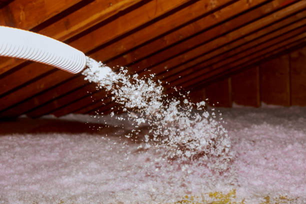 Best Insulation Installation Services in Lorena, TX