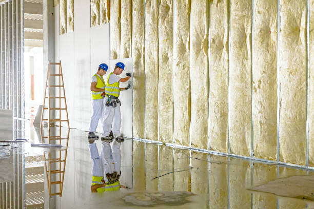Best Types of Insulation in Lorena, TX
